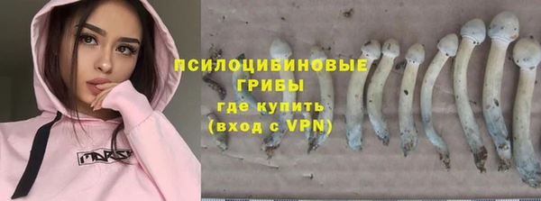 стаф Валдай
