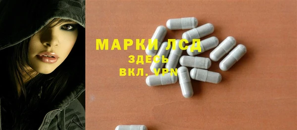 стаф Валдай