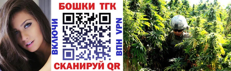 дарнет шоп  Камешково  Каннабис индика 